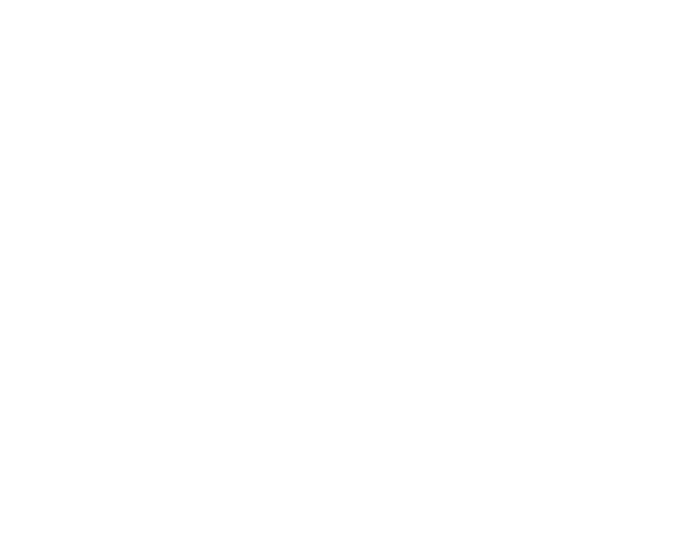 Picon Press Media LLC